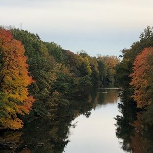 Meet your Posher, Alyse